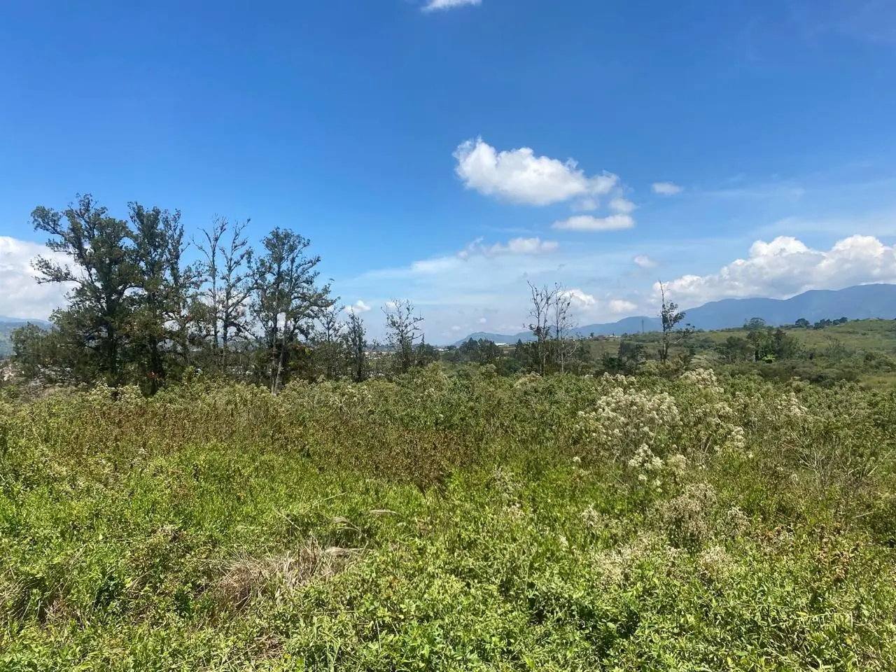 Perspectiva Finca Praderas